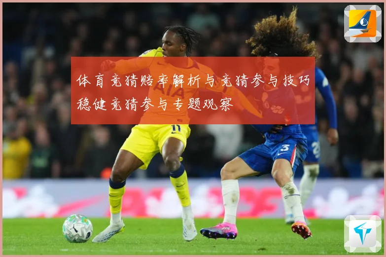 体育竞猜赔率解析与竞猜参与技巧稳健竞猜参与专题观察